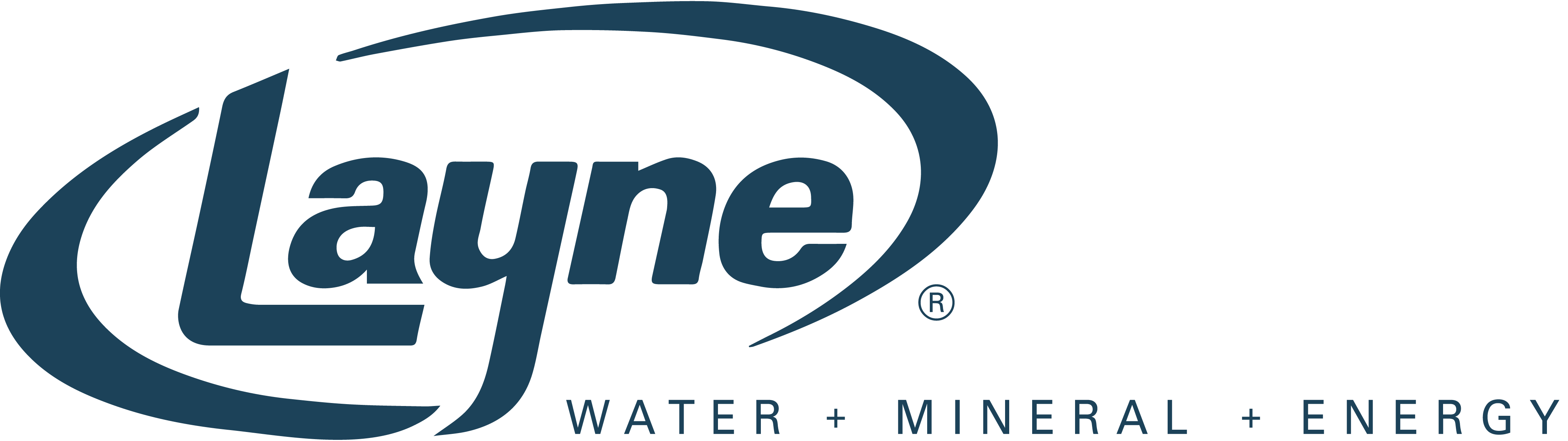 Layne logo